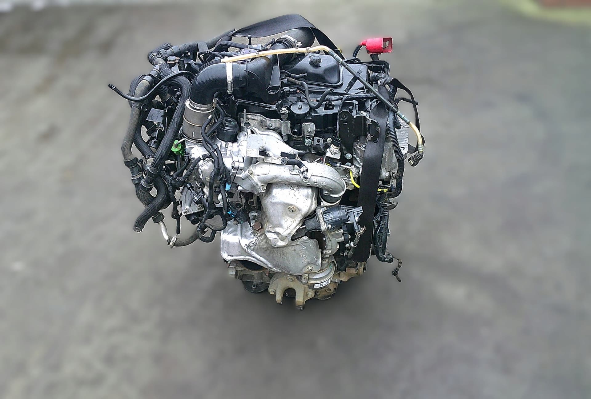 Moteur M9T 890 pour Renault Master
