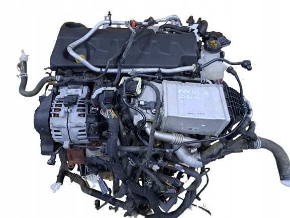 Moteur YLDA pour Ford Focus