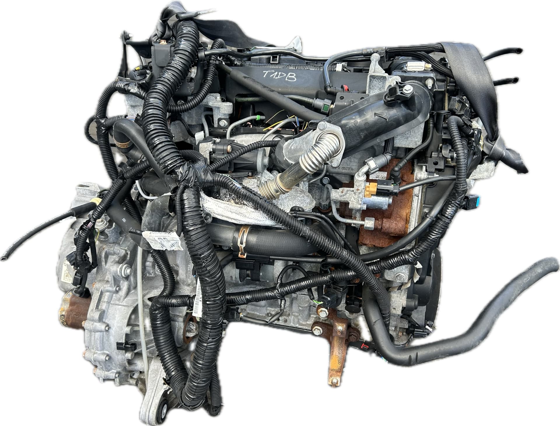 Moteur T1DB pour Ford Grand C-max